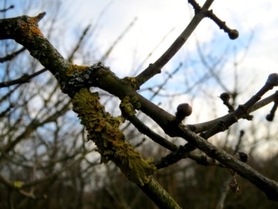20140129Pfaffenhuetchen3