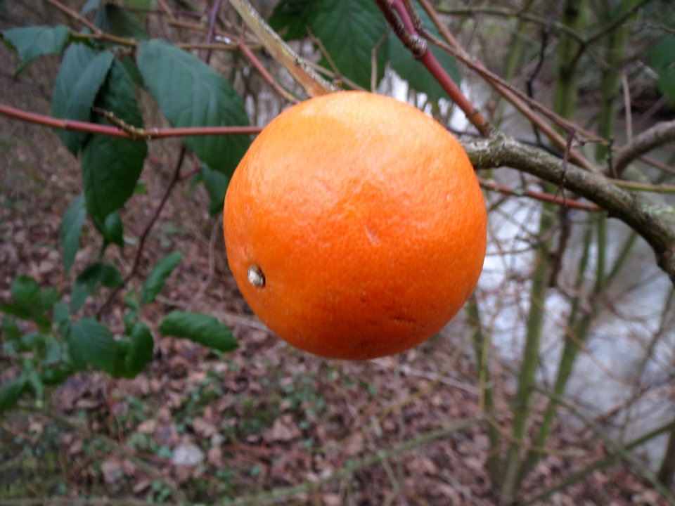 20140119Hockenheim1