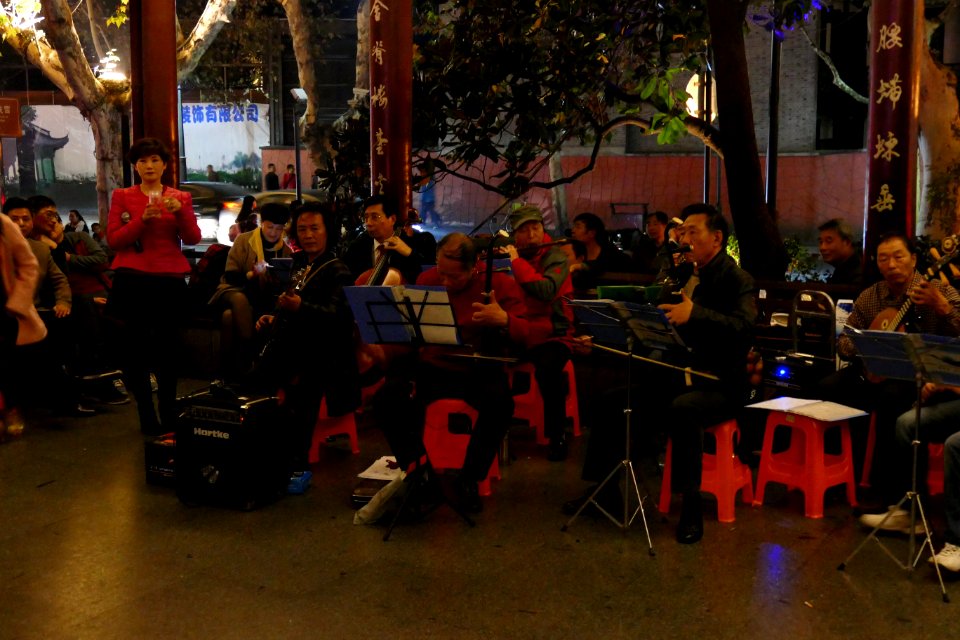 2014.11.21.194835_Musicians_Xihu_Hangzhou
