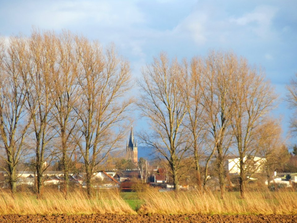 20140216Reilingen2