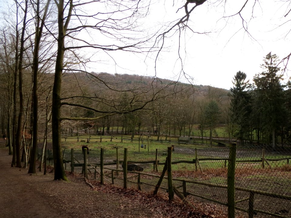 20140105Wildpark_Saarbruecken01