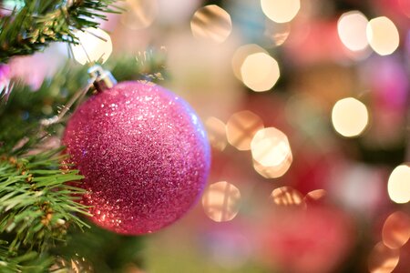 Sparkle celebration christmas