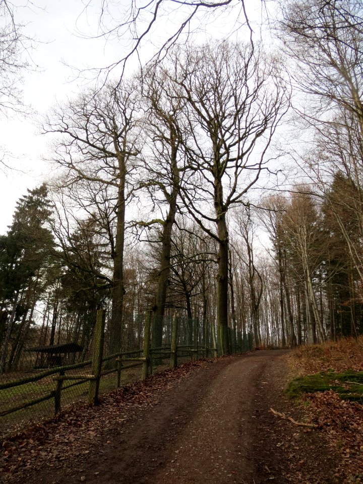 20140105Wildpark_Saarbruecken03