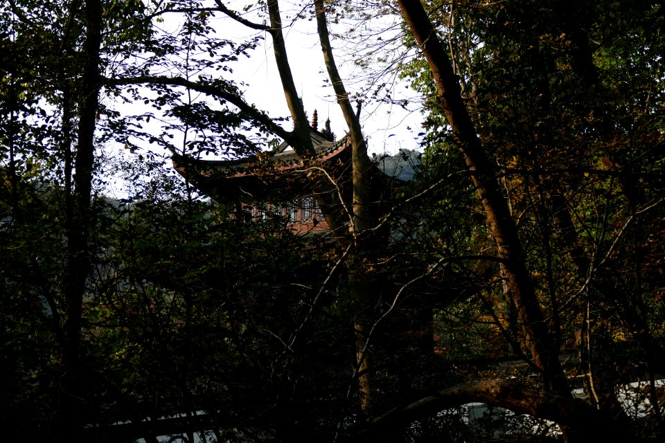 2014.11.21.150429_Pagoda_Hupaomengquan_Hangzhou