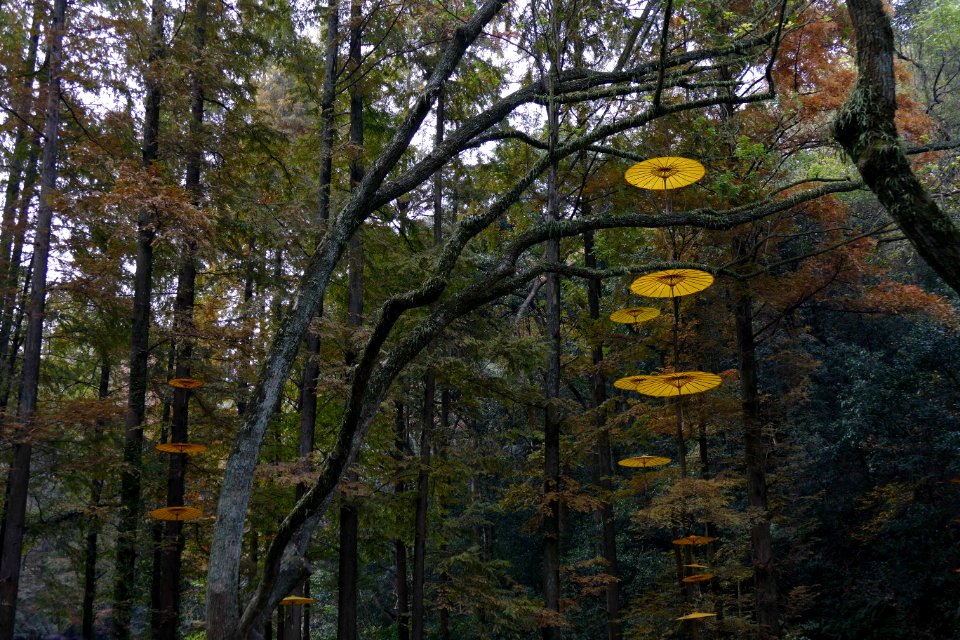2014.11.21.144942_Lampions_Hupaomengquan_Hangzhou