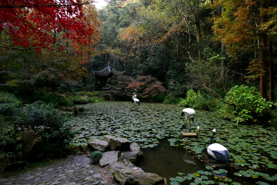 2014.11.21.141526_Fake_cranes_Hupaomengquan_Hangzhou