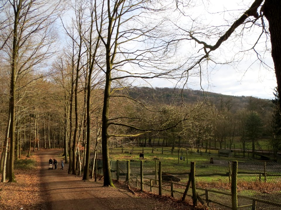20140105Wildpark_Saarbruecken02