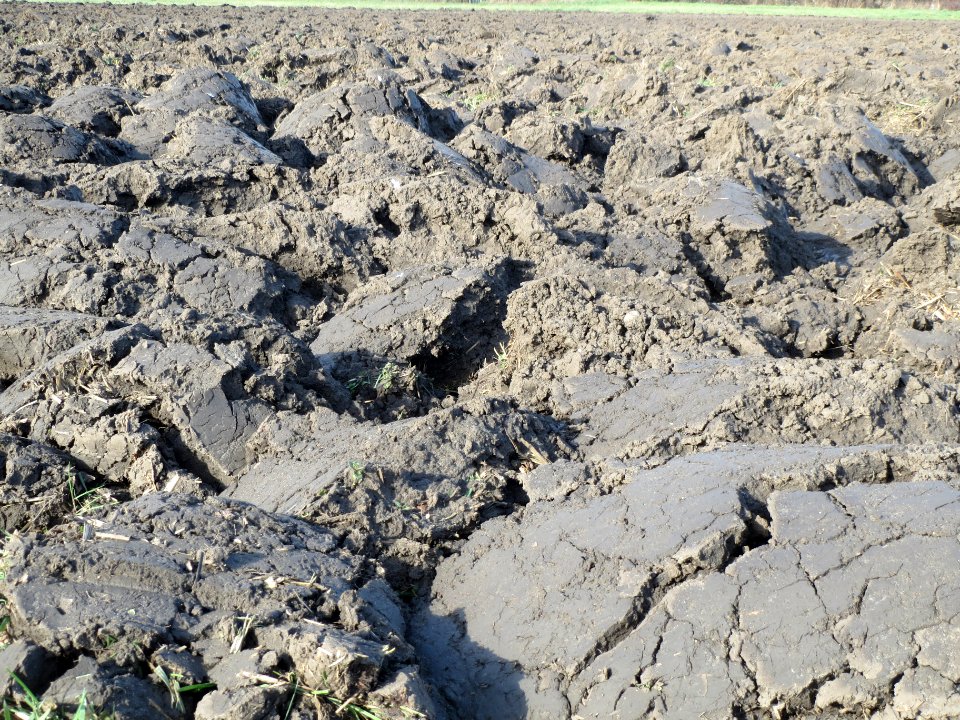 20140212Feld_Reilingen3