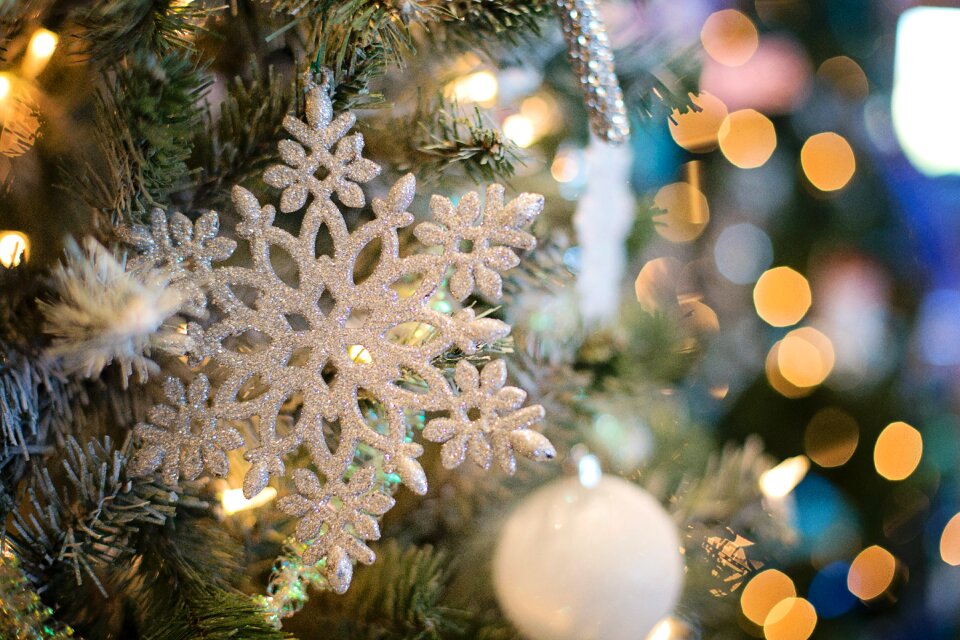 Tree december christmas