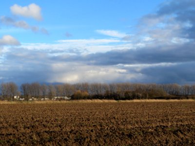 20140216Reilingen1
