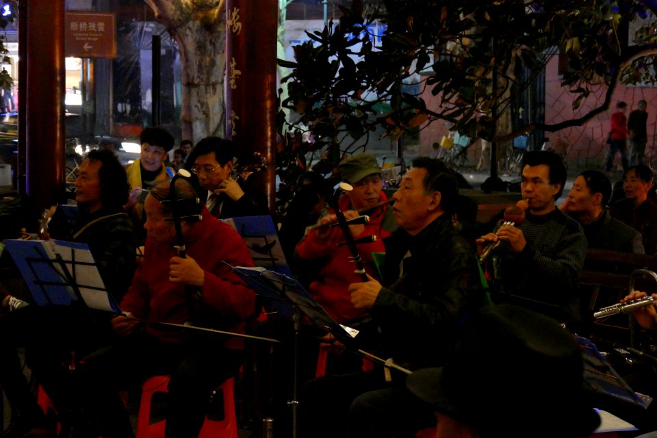 2014.11.21.194716_Musicians_Xihu_Hangzhou