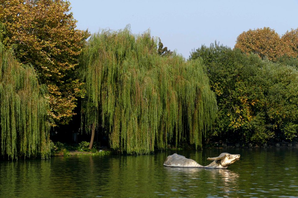 2014.11.21.131241_Bull_statue_Xihu_Hangzhou