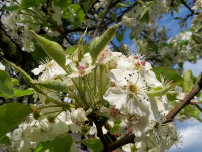 20140326Hockenheim6