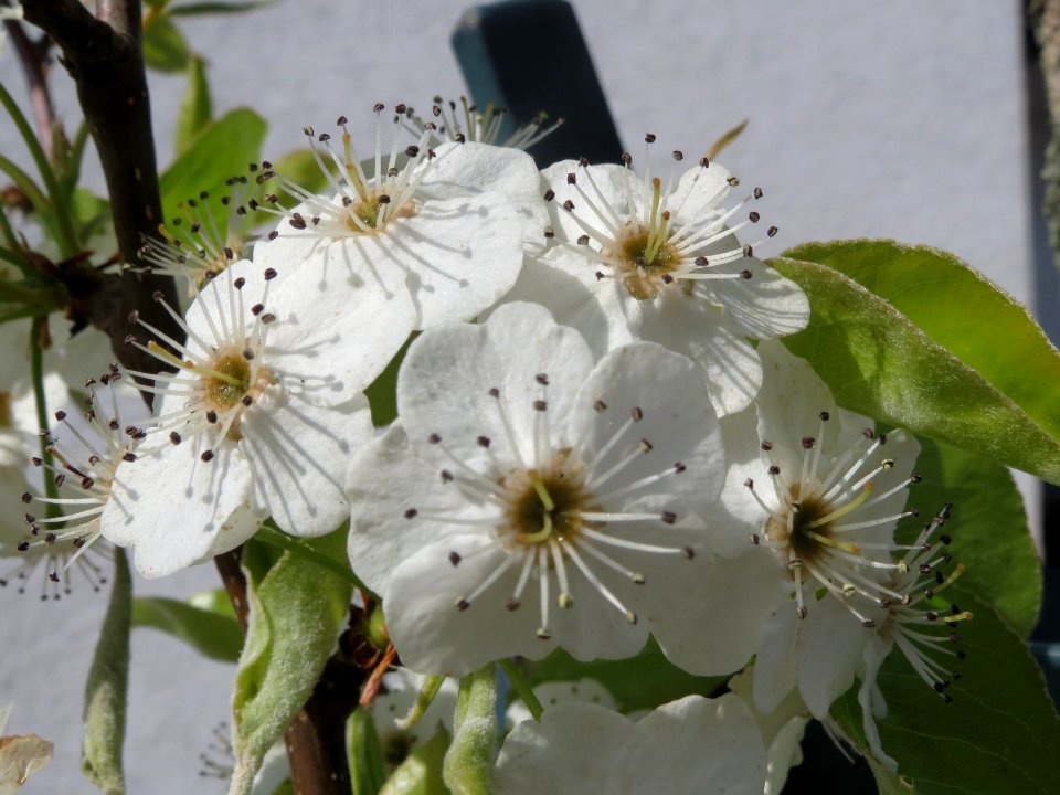 20140326Hockenheim4