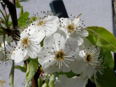 20140326Hockenheim4