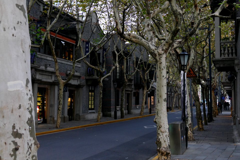 2014.11.17.162554_Xingye_Road_Shanghai