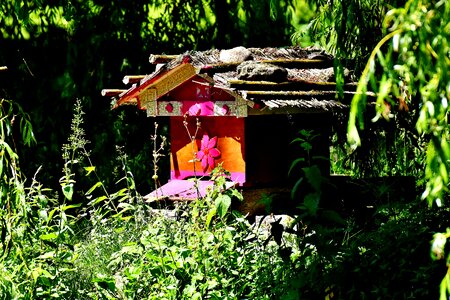 Hive honey bees stand photo