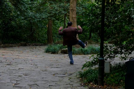 2014.11.21.150123_Exercise_Hupaomengquan_Hangzhou
