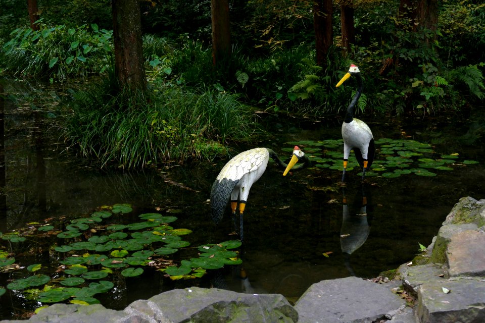 2014.11.21.145013_Fake_cranes_Hupaomengquan_Hangzhou