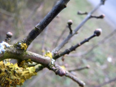 20140129Pfaffenhuetchen4