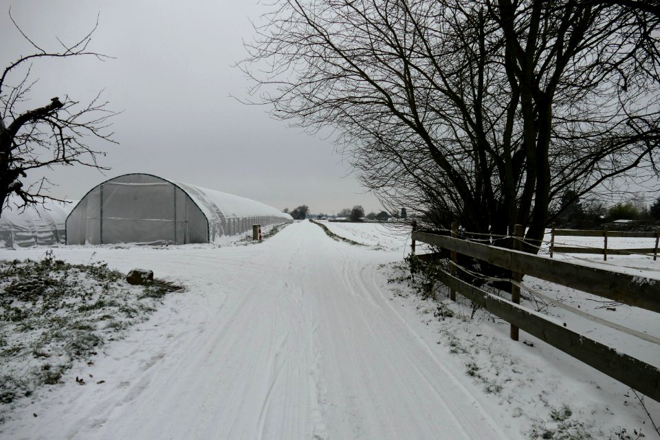 2014.12.29.105740_Snow_Heidelberg-Handschuhsheim