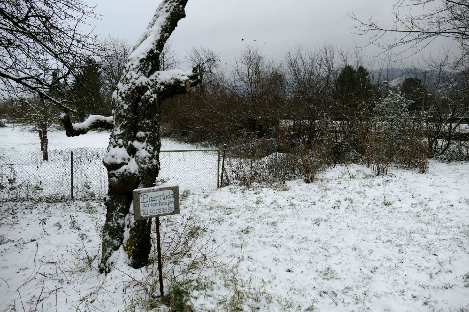 2014.12.29.105821_Snow_Handschuhsheimer_Feld