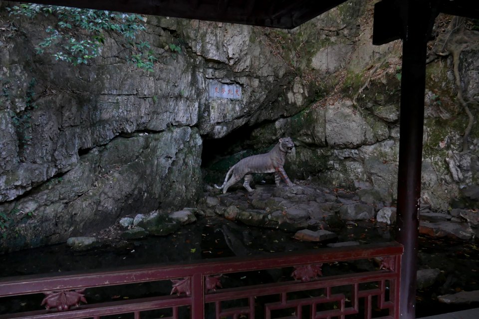 2014.11.21.151540_Tiger_statue_Hupaomengquan_Hangzhou