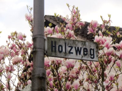 20140324Holzweg