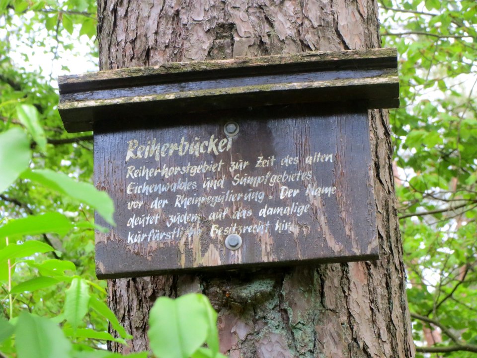20140423Schwetzinger_Hardt2