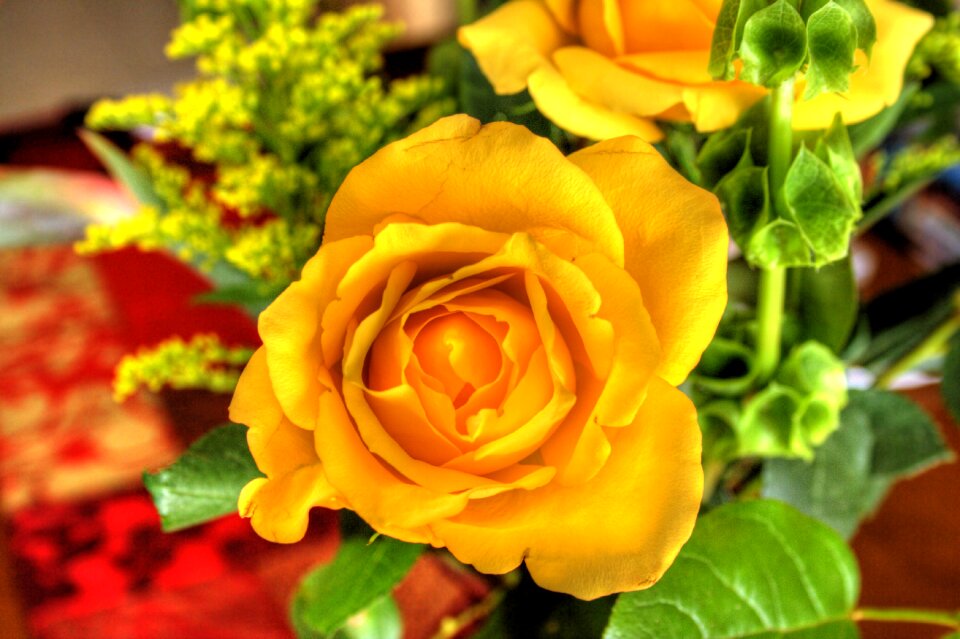 Bouquet floral blossom