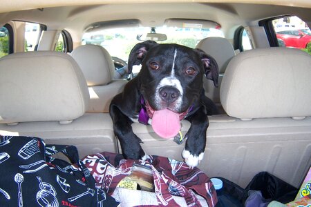 Car ride travel