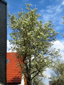 20140326Hockenheim3