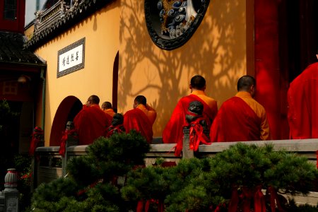 2014.11.17.102444_Monks_Jade_Buddha_Temple_Shanghai photo
