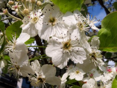 20140326Hockenheim5