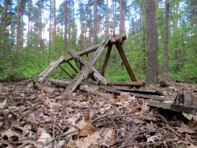 20140418Hochsitz_Schwetzinger_Hardt1