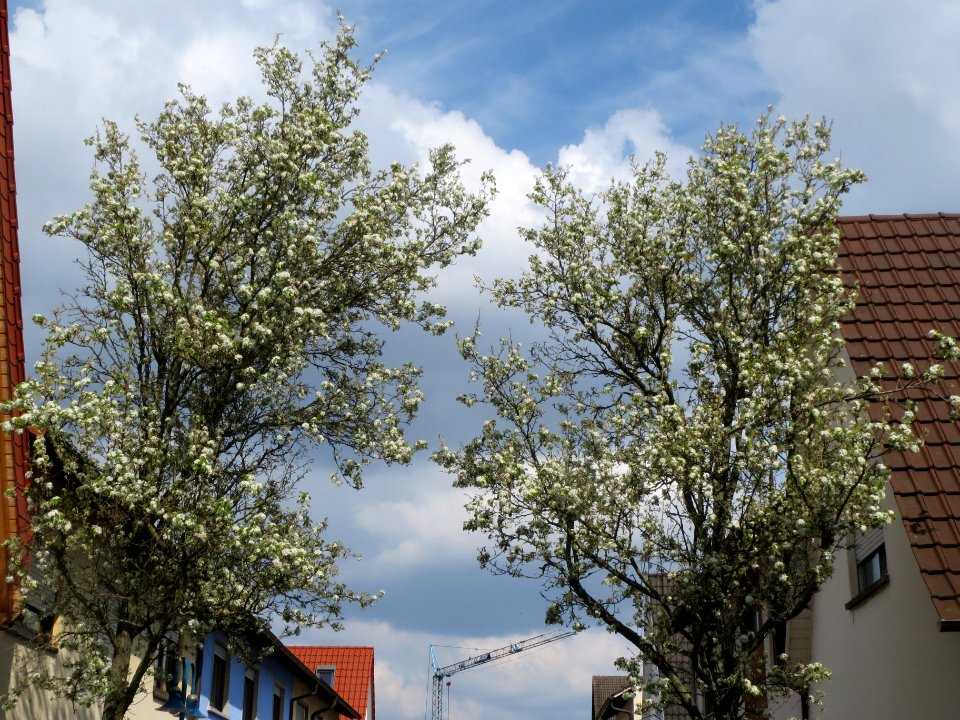 20140326Hockenheim2