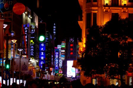 2014.11.15.181427_Nanjing_Road_Pedestrian_Zone_Shanghai