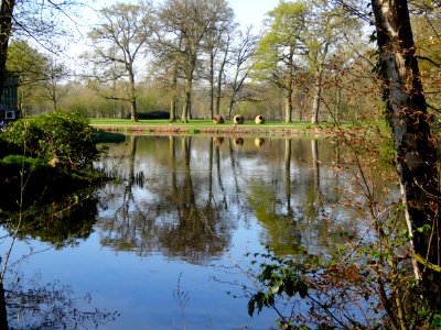 20140421_park_Engelenburg_Brummen