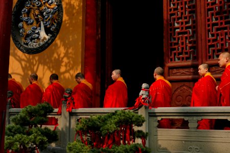 2014.11.17.102506_Monks_Jade_Buddha_Temple_Shanghai photo