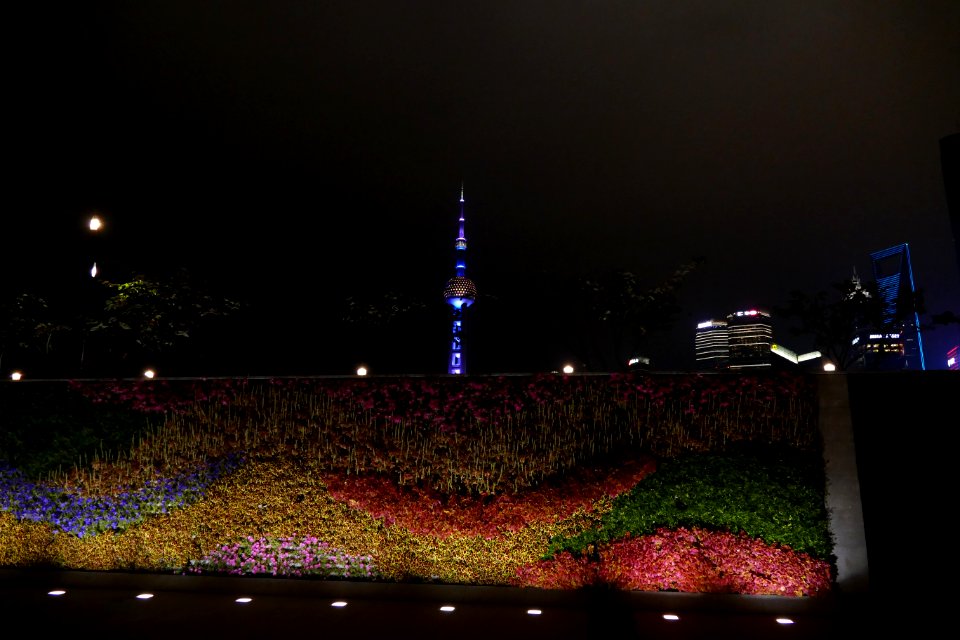 2014.11.15.195548_Oriental_Pearl_Tower_Flower_Wall_Bund_Shanghai