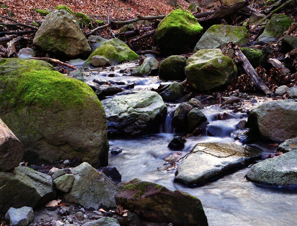 Nature stream outdoor