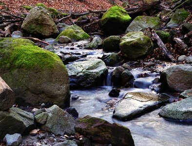 Nature stream outdoor