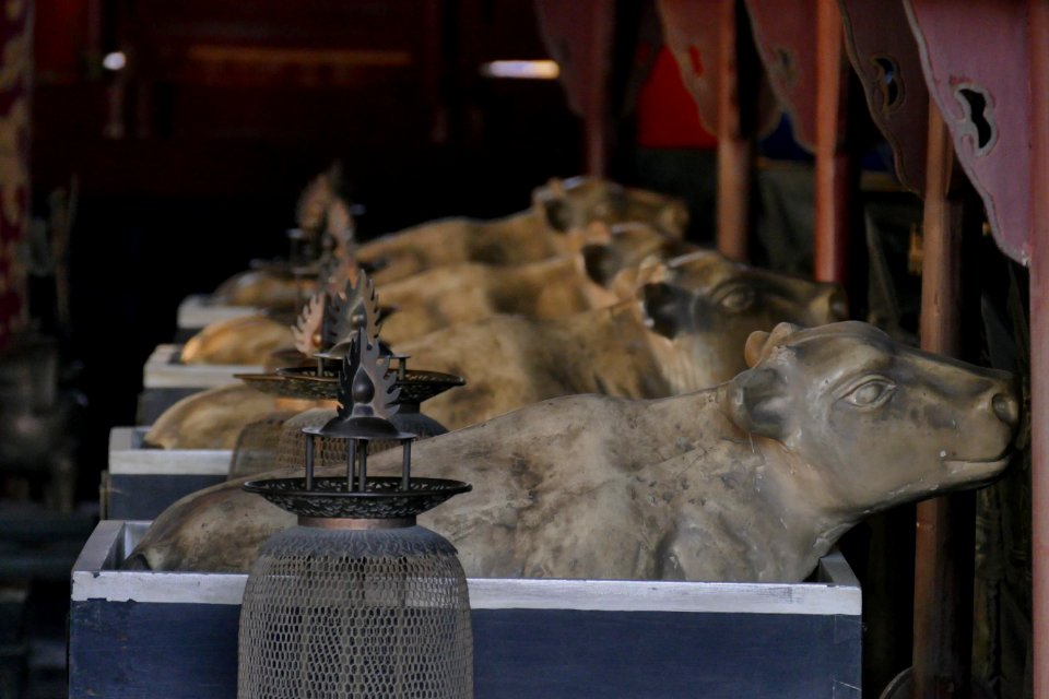 2014.09.29.170906_Calves_interior_Temple_of_Heaven_Bejing