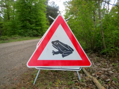 20140418Kroetenwanderung