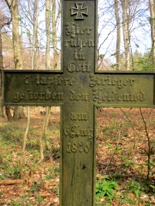 20140402Stiftswald_Sankt_Arnual11