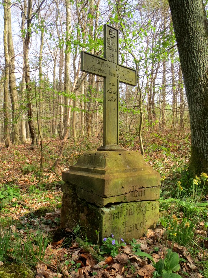 20140402Stiftswald_Sankt_Arnual10