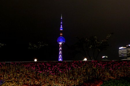 2014.11.15.195606_Oriental_Pearl_Tower_Flower_Wall_Bund_Shanghai