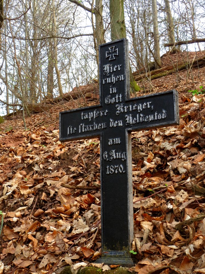 20140402Stiftswald_Sankt_Arnual13