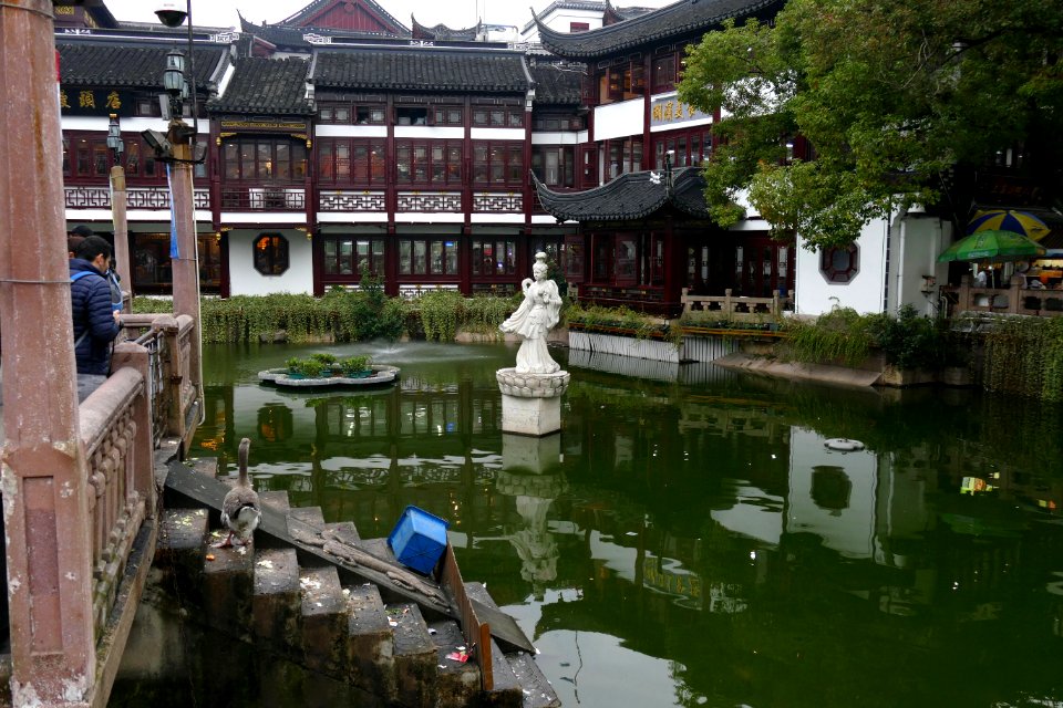 2014.11.16.121801_Pond_Yuyuan_Park_Shanghai