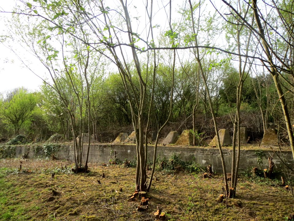 20140402Panzersperren_Winterbeg1